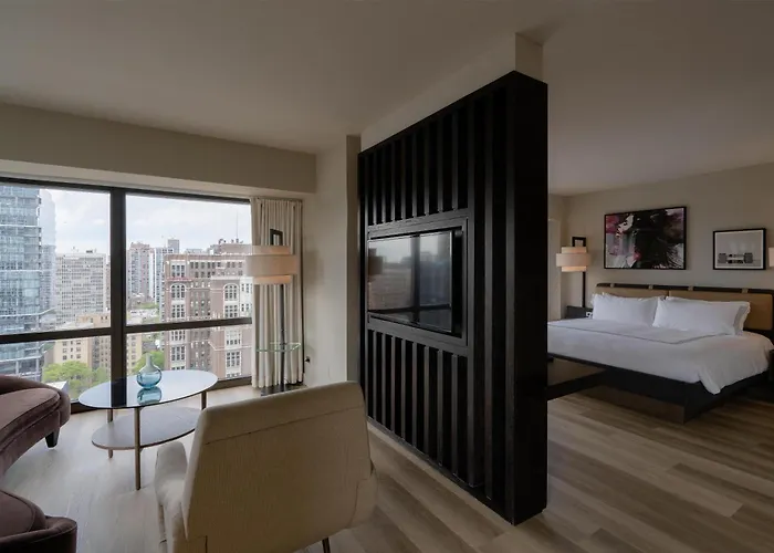 Hotel Thompson Chicago, By Hyatt 4*